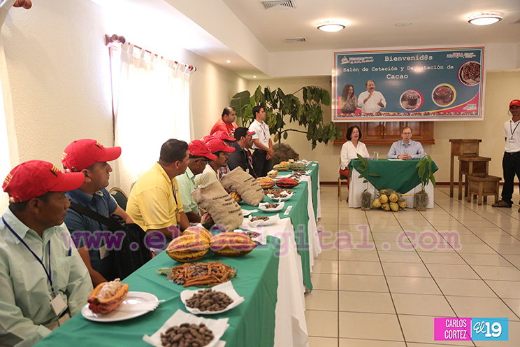 Nicaragua desarrolla Primer Congreso Internacional sobre Producción Sostenible de Cacao Fino